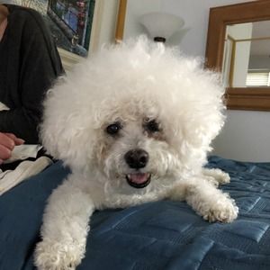 Meet your Posher, Marc